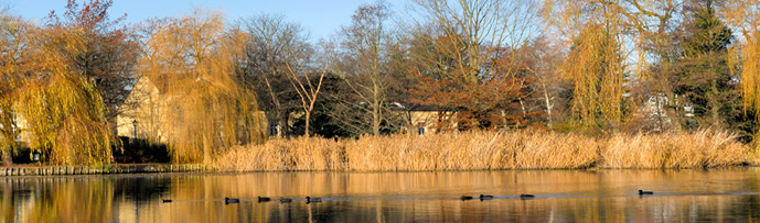 Zur Startseite: Zahn�rzte Freydank & Rochlitz, Berlin Alt-Lichtenrade